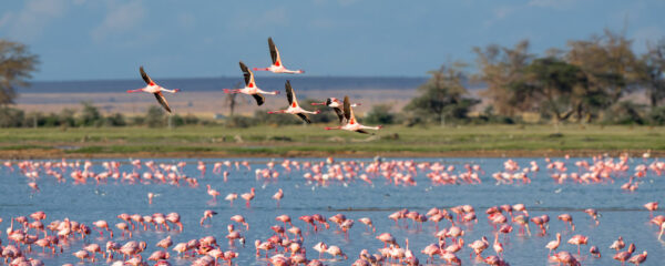 campings en Camargue