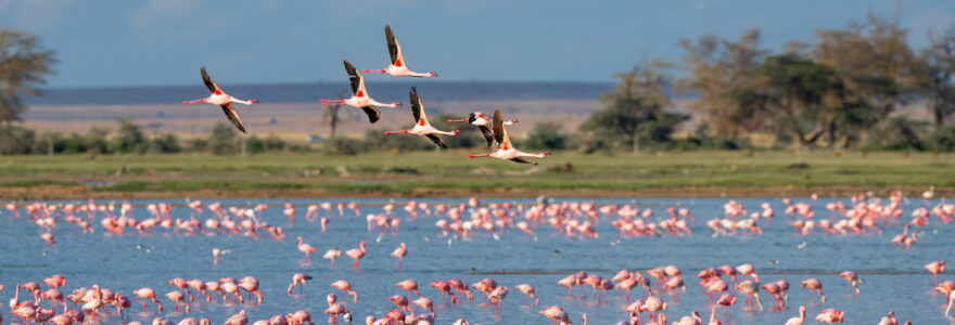 campings en Camargue