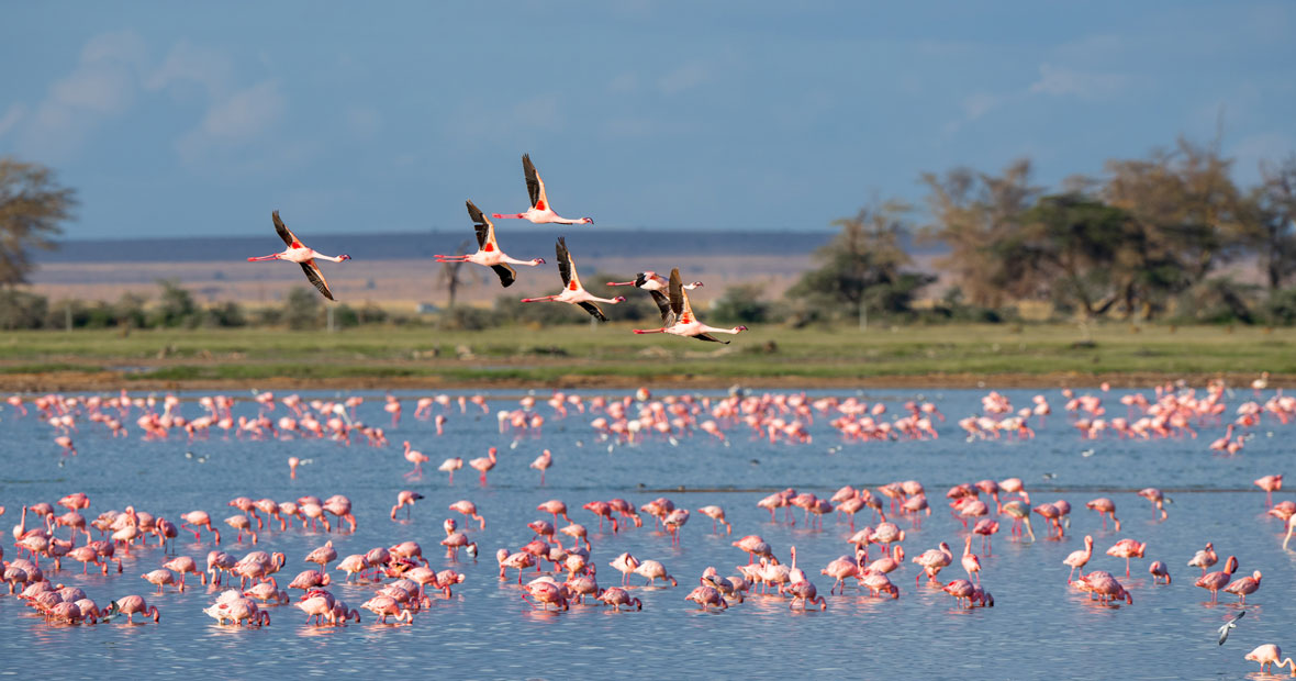 campings en Camargue