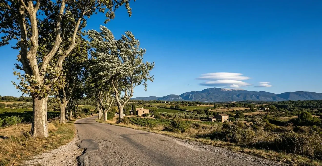 Paysage provençal montrant un ciel d'un bleu profond exceptionnellement clair avec des nuages lenticulaires au-dessus du Mont Ventoux
